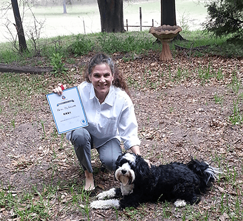 Dog Training Class Graduation class graduation.