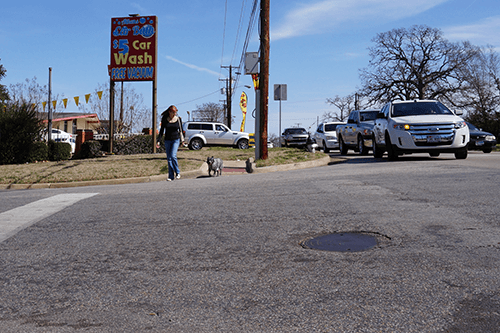 Classes-Dog Walking With Busy Streets Classes-Dog Walking With Busy Street