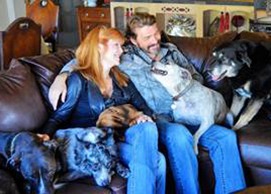 A dog sniffing a stranger's hand with no fear