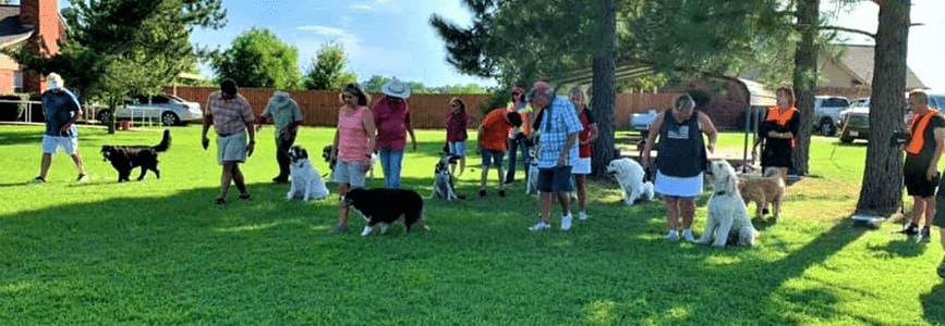 2020 mm Heel 8 x 10 (2) Dog Training Classes