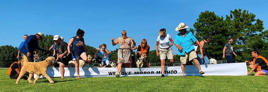 2020 mm jump super long Dog training should be free of pain, fear, and force. It should be fun for you and your dog.