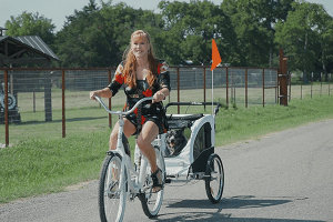 A Yorkshire terrier that's just been groomed
