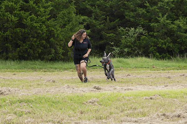 puppy running with a red ball in its mouth