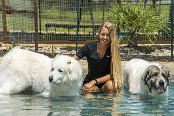 Two pretty collies getting ready for a bath