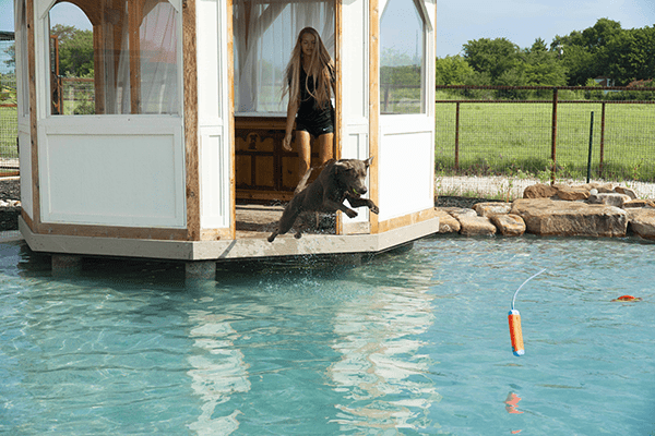 puppy running with a red ball in its mouth