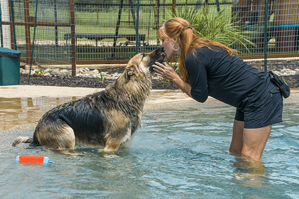 puppy running with a red ball in its mouth