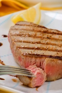 Grilled tuna for dogs