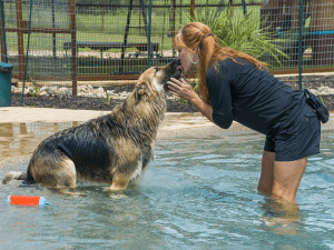 Dog Enjoying Fun Activities