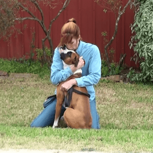 Truly loving trainer