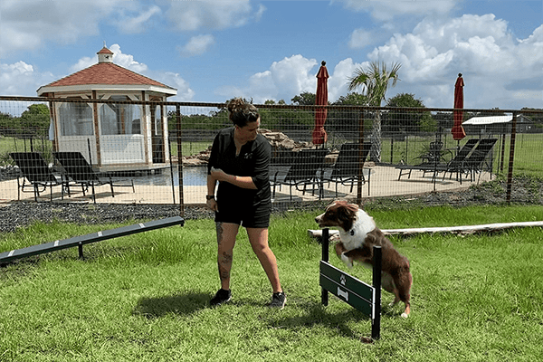 doggy agility fun