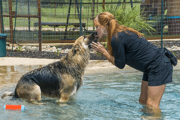 doggy pool kisses